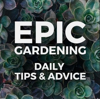 epic gardening podcaster om interiør og innredning